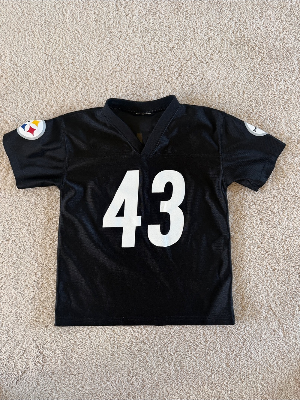 Kids Pittsburgh Steelers #43 Jersey
